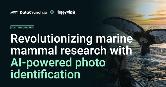 Revolutionizing marine mammal research with AI-powered photo identification